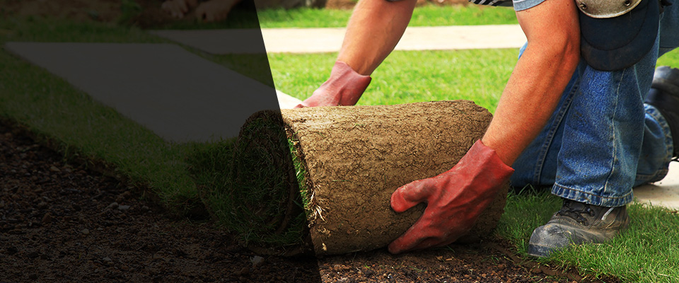 Canadian Landscapers